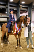 155 A/HA/AA Walk/Trot Equitation Championship 10& Under