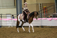 Class 152 HA/AA Western Pleasure ATR Championship